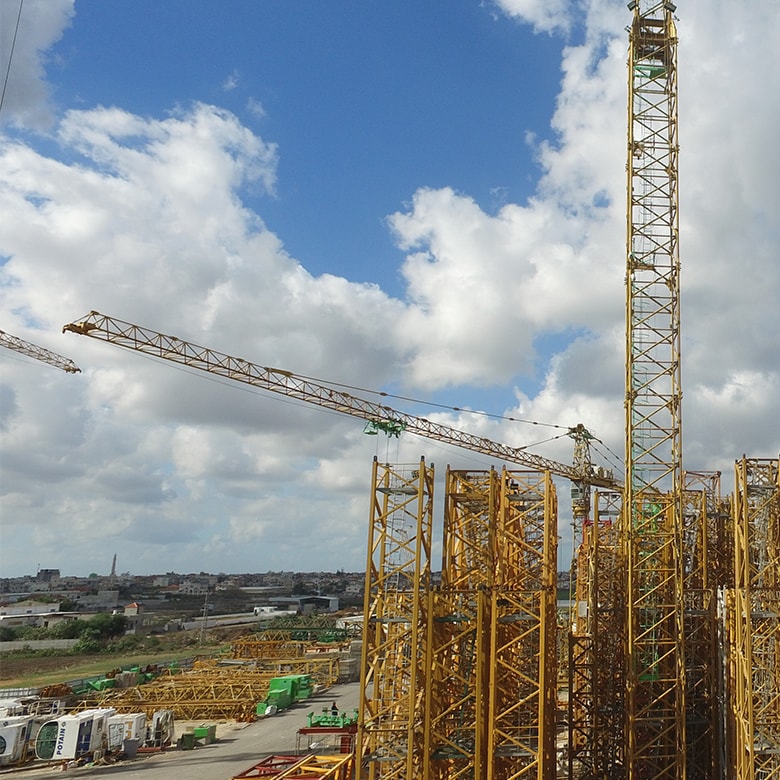 Tower Crane erecting and dismantling services 